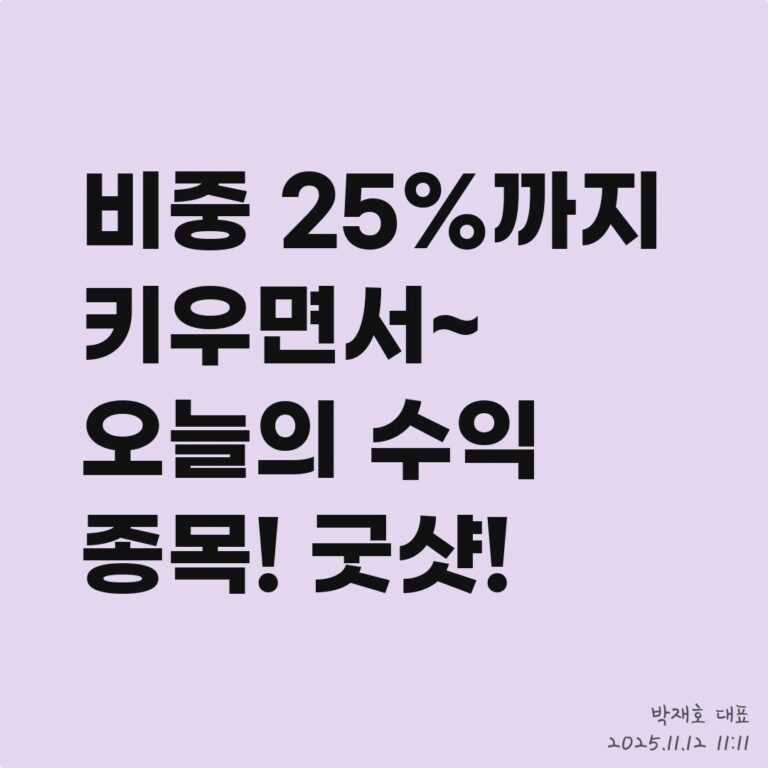 가격 전략, VI가 걸린 종목은 어떻게 대응? – 2025년 11월 12일 오후 01시 09분