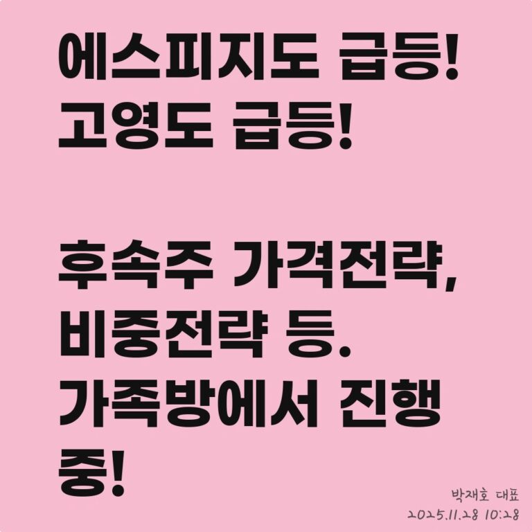 SK하이닉스가 오르면, 함께 오르는 종목은? – 2025년 11월 28일 오후 02시 06분