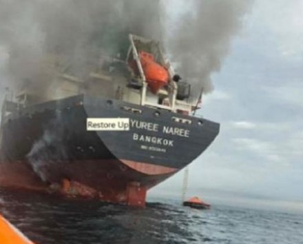 대장주가 흔들릴 때, 멘탈 관리하는 비법 – 2026년 03월 12일 오전 06시 11분